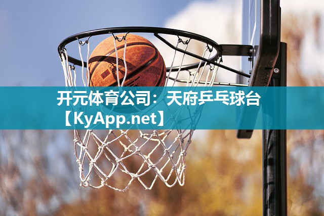 天府乒乓球台