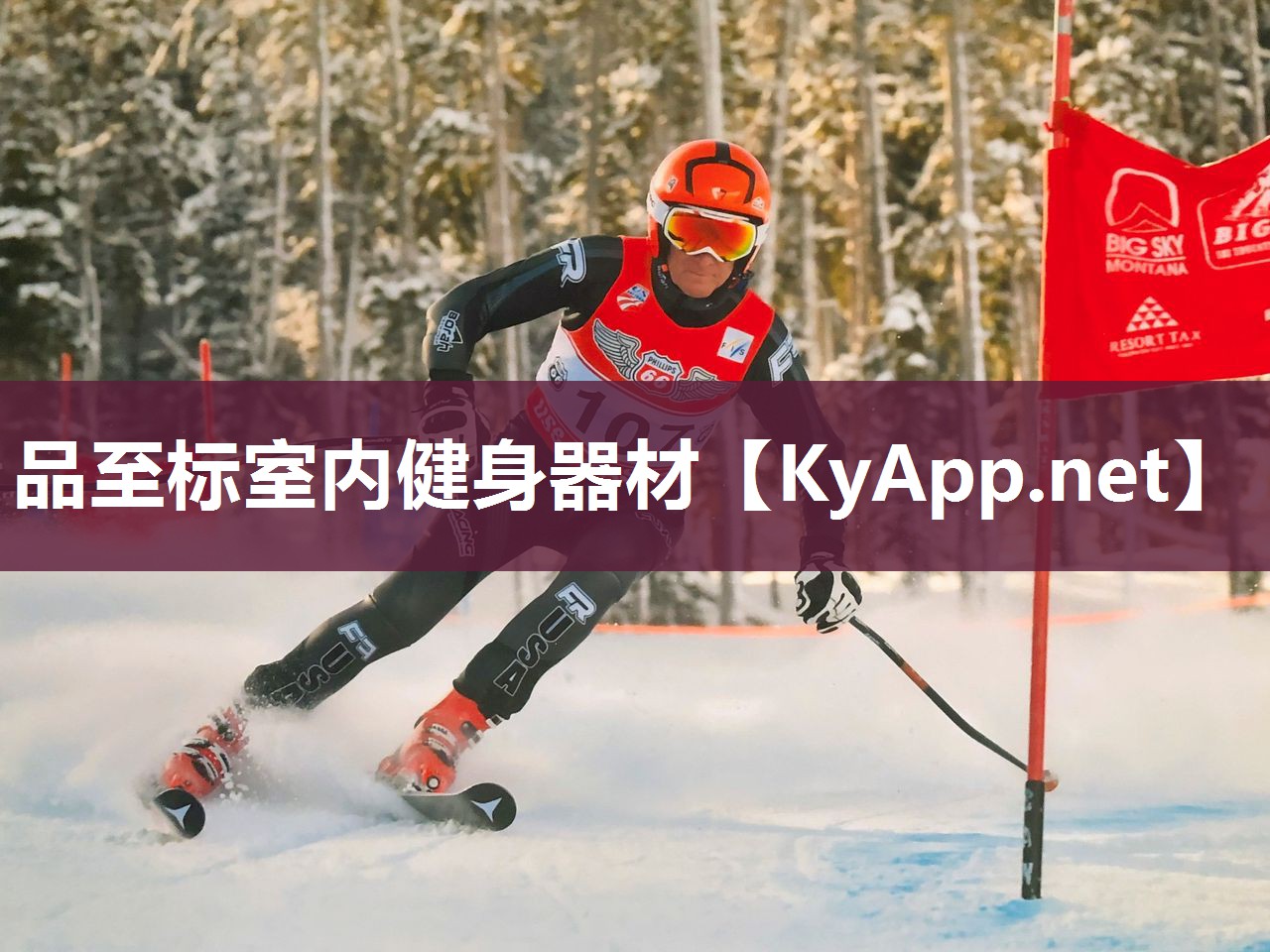 品至标室内健身器材