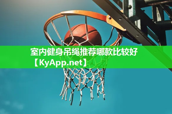 室内健身吊绳推荐哪款比较好
