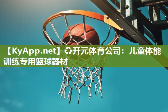 儿童体能训练专用篮球器材