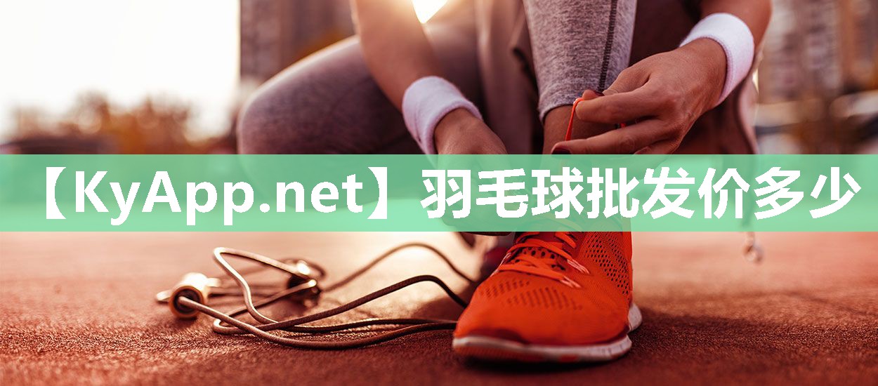 羽毛球批发价多少
