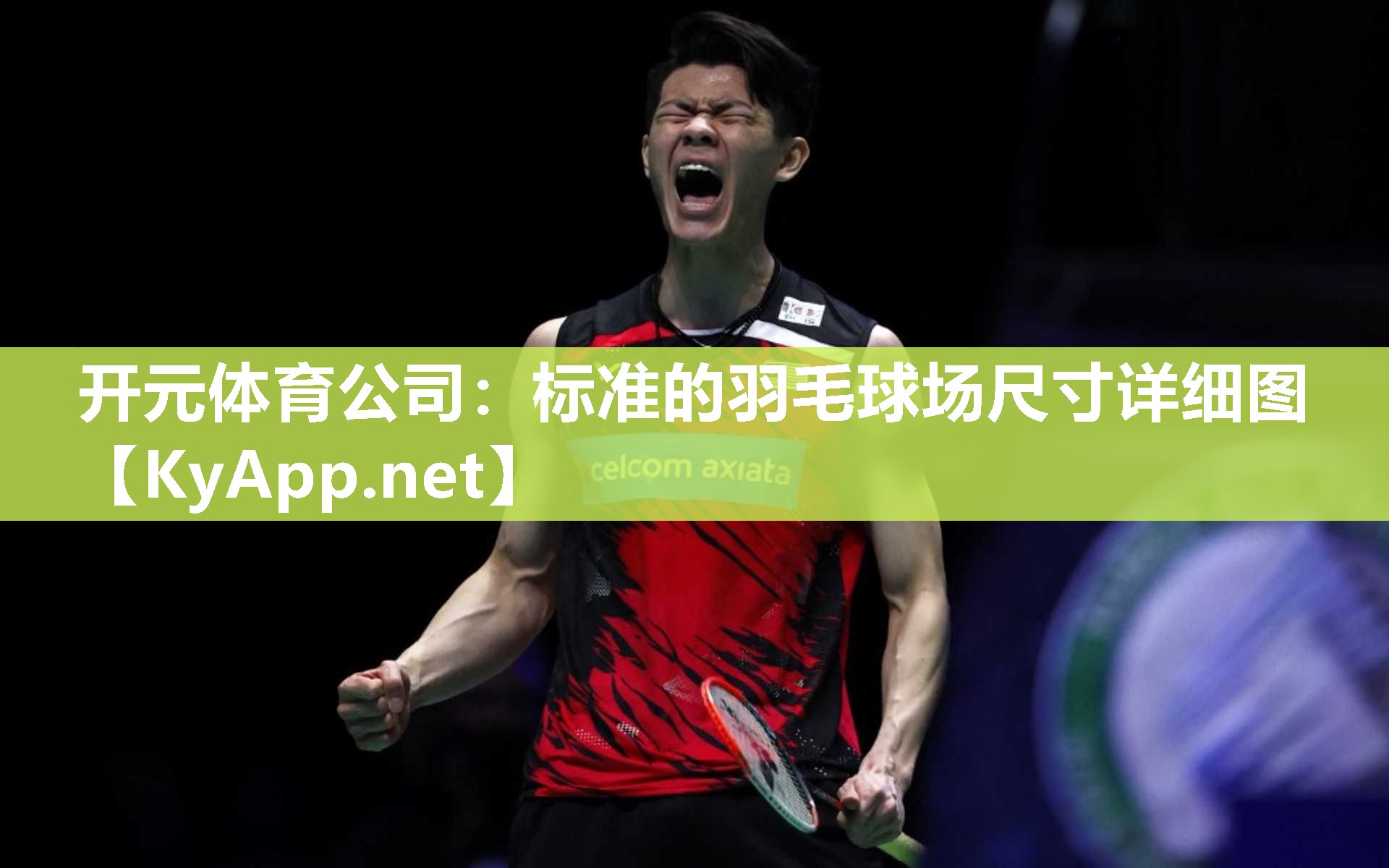 标准的羽毛球场尺寸详细图