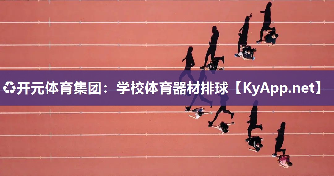 学校体育器材排球
