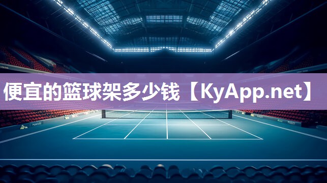 便宜的篮球架多少钱