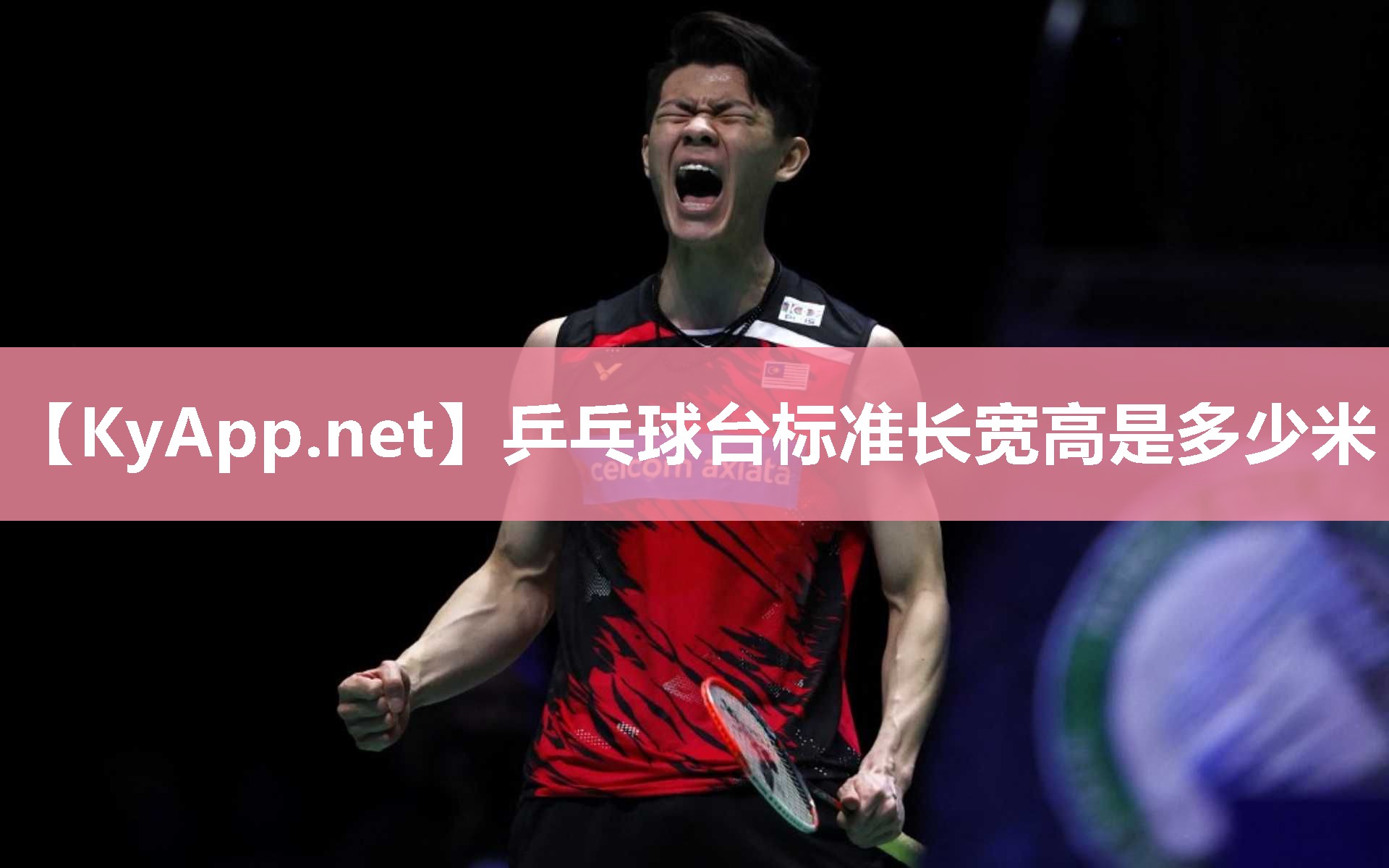 乒乓球台标准长宽高是多少米