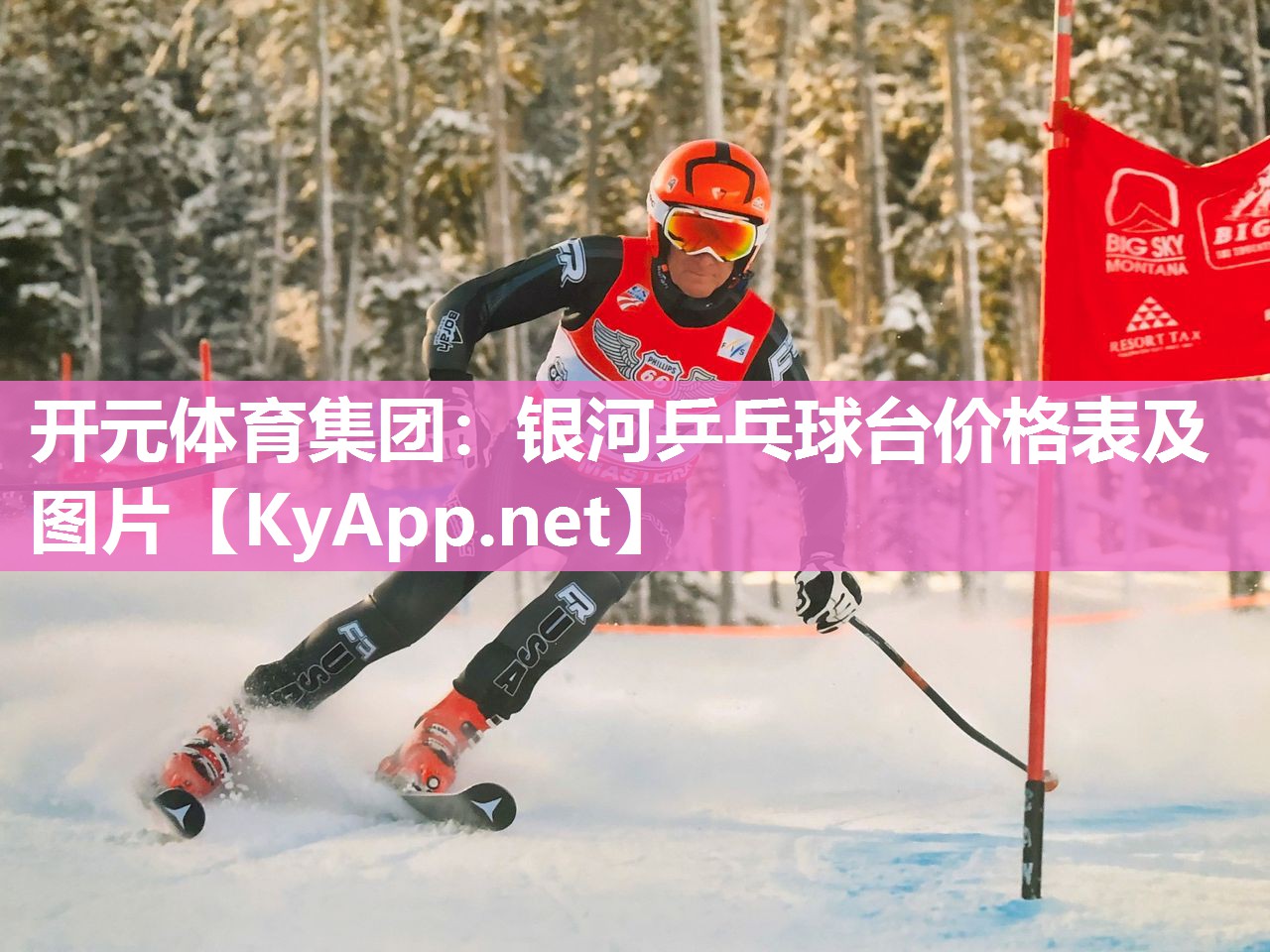 银河乒乓球台价格表及图片