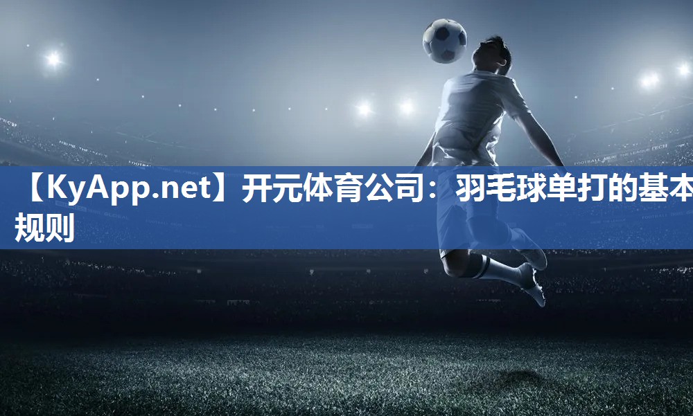 羽毛球单打的基本规则